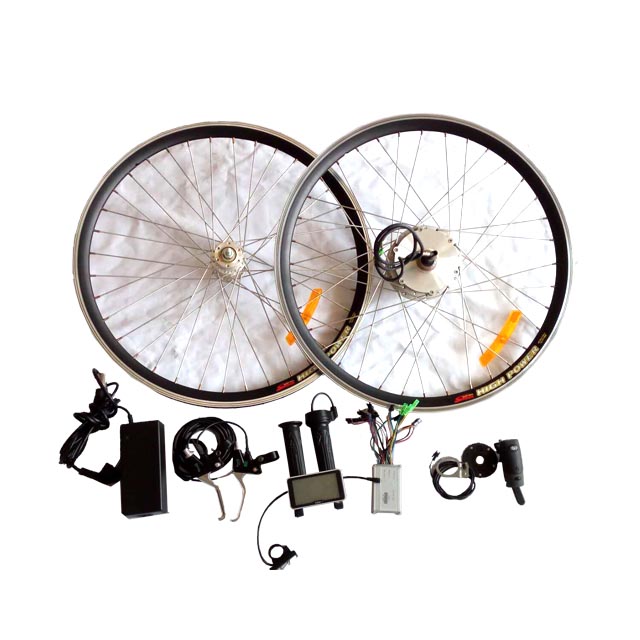 Fantas-bike cheap ebike kit 18 inch