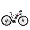 Fantas City-hunter 004 mountain electric bike