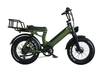 FANTAS Z2 20inch fat tire lithium battery electric bicycle harley for snow and beach