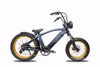 FANTAS CRUISER MINI hydraulic disc brake fat tire electric bicycle harley for snow and beach