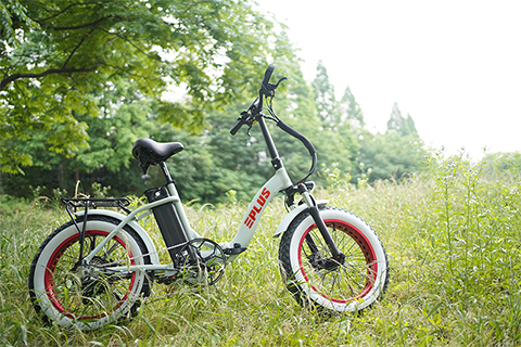 Fantas C20 750W 20inch electric fat tire bicycle foldable snow e-bike with bent frame